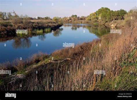 California San Joaquin River Flowing Through The Great Valley