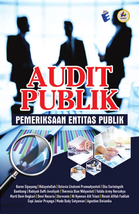 Pdf Audit Publik Pemeriksaan Entitas Publik