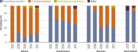 Shift In Flea Beetle Species Composition Canola Digest