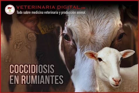 Coccidiosis en rumiantes Patología digestiva Producción Animal