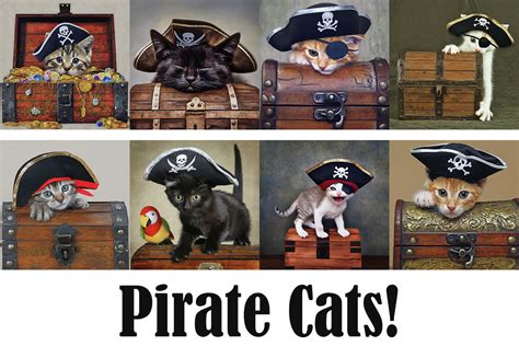 Pirate Cats Graphic by Alana Jordan · Creative Fabrica