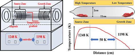 The Schematic Of Cvt Growth Of Czts Single Crystals And Temperature