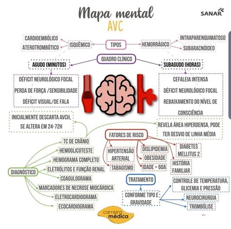 Pin De Amauri Filho Em Medicina Mapas Mentais Material De