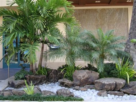 Palm Trees Landscaping Florida Landscaping Landscaping With Rocks