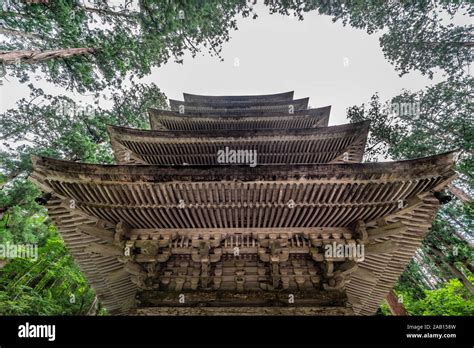 Five Story Pagoda Surounded By Sugi Trees At Mount Haguro One Of The