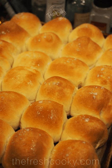 The Best Easy Yeast Rolls For Beginners• The Fresh Cooky