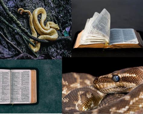 Snake Symbolism: What Serpents Mean in Our World