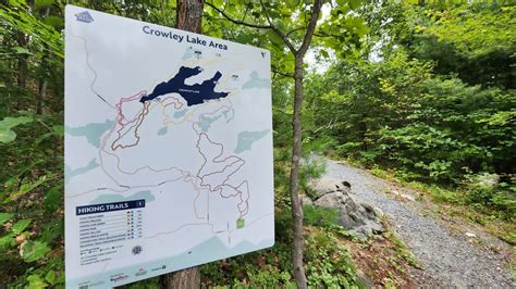 Kivi Park In Sudbury Uses Grant Dollars To Expand Multi Use Trails And