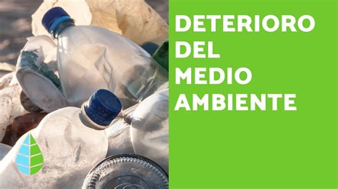 Deterioro Del Medio Ambiente ¿qué Es El Deterioro Ambiental Youtube