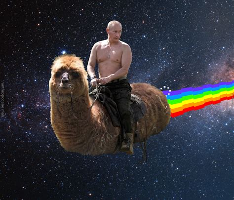 'Putin Rides' memes to be showcased at Dundee exhibition