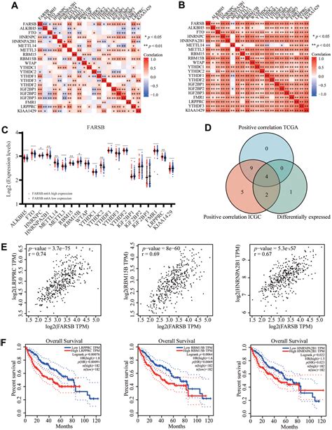 Farsb Serves As A Novel Hypomethylated And Immune Cell Infiltration