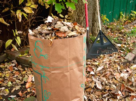 Five Tips For Yard Waste Disposal Panhandle Dumpsters