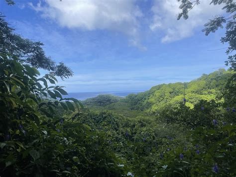 Cook Islands News - Breaking news, latest news & world news online