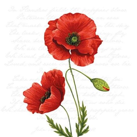 Proud Poppy Poppies Paper Napkin Serviette For Decoupage Paper Crafts