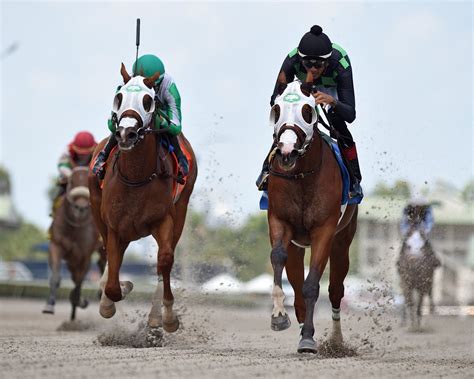 Gulfstream Park On Twitter RT CanalHipicaTV Revive La Jornada Del