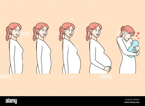 Stages Of Woman Pregnancy Stock Vector Image Art Alamy