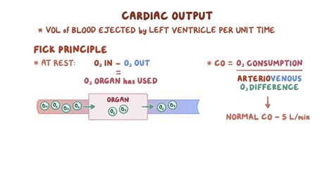 Measuring Cardiac Output Fick Principle Video Osmosis