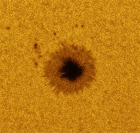 Sun In Whitelight 26th June 2024 Solar Observing And Imaging Cloudy Nights