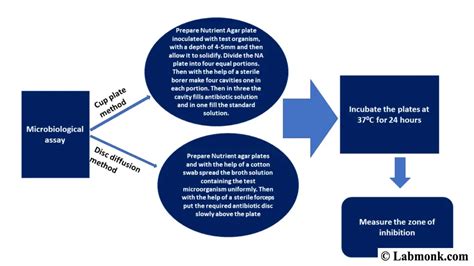 Microbiological assay of antibiotics using cup plate method - Labmonk