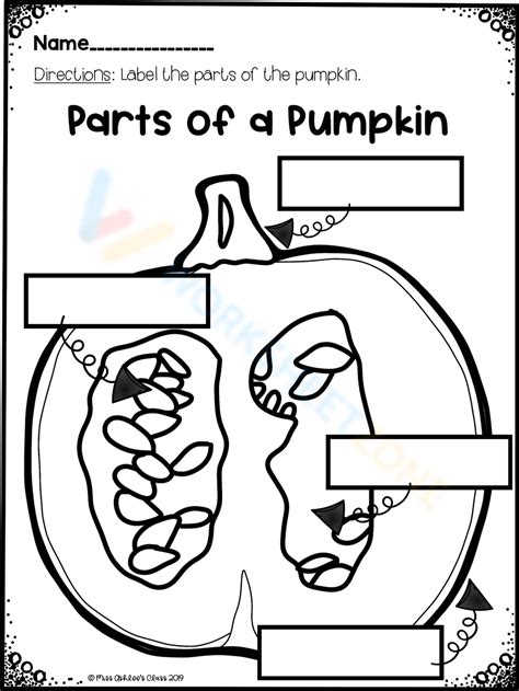 Parts Of The Pumpkin Worksheet 1