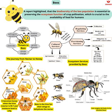 World Bees Day Insights Ias Simplifying Upsc Ias Exam Preparation