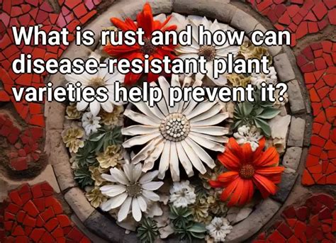 What Is Rust And How Can Disease Resistant Plant Varieties Help Prevent It Gardeninggovcapital