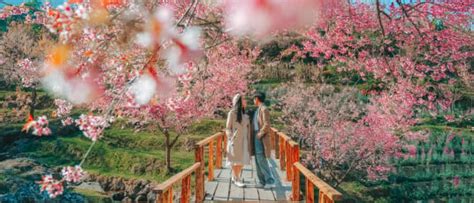 Why Choose Chiang Mai for Your Honeymoon? | Wowfare