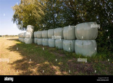 Round bales of silage hi-res stock photography and images - Alamy