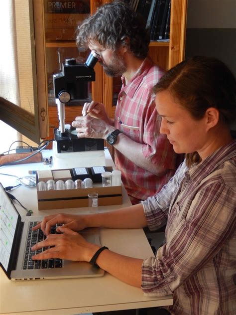 Clockwise from upper left: lesser long-tailed shrew tenrec; lesser