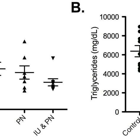 Effects Of Arsenic Exposure On Nutritional Composition Of Dam S Breast