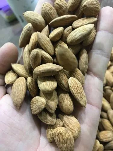 Independent American Almonds Packaging Size 25 Kg At Rs 560 Kilogram