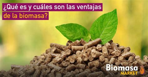 ¿qué Es Y Cuáles Son Las Ventajas De La Biomasa Biomasa Market