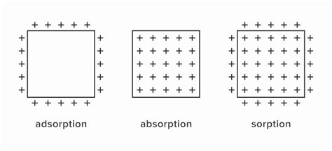 Fenômeno Físico De Adsorção Absorção E Sorção Vetor Premium