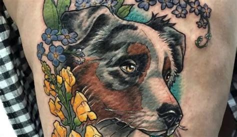 10 Beautiful Australian Shepherd Tattoo Designs For Dog Lovers Pet