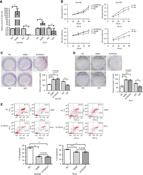 Mir 183 Upregulation Promotes Escc Cell Proliferation And Invasion In