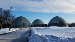 Visiting The Domes Milwaukee WI