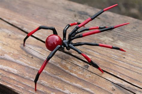 Red Black Widow Spider | Foto Bugil Bokep 2017