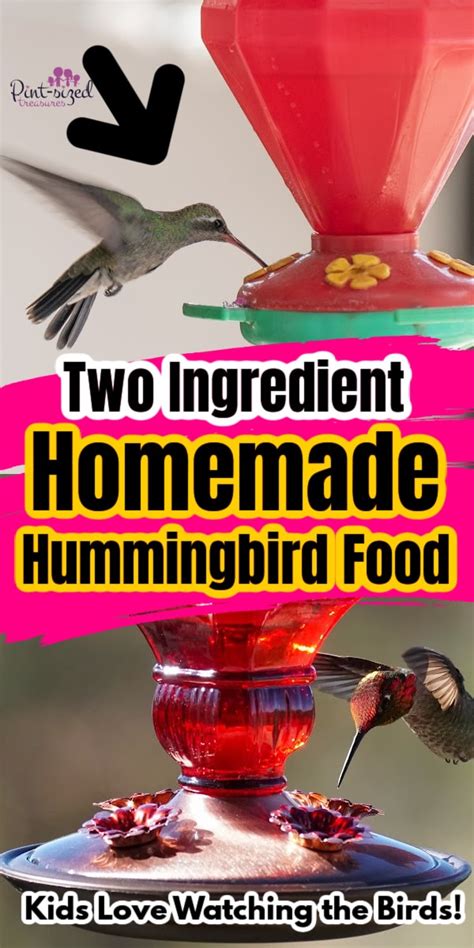 Homemade Hummingbird Food The Easiest Recipe Pint Sized Treasures