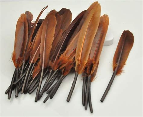 Duck Feathersbrown Featherscraft Feathersloose Feathers Wholesale