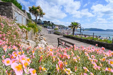 Jane Austen Garden Love Lyme Regis