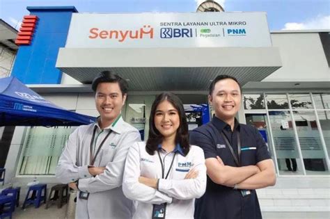 Tiga Tahun Holding Ultra Mikro BRI Group Layani 176 Juta Nasabah Simpanan