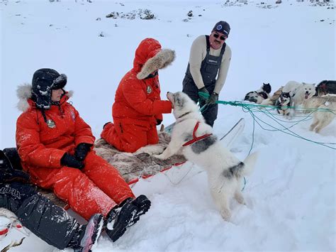 Dog Sled Tour in Sisimiut – Arctic Excursions