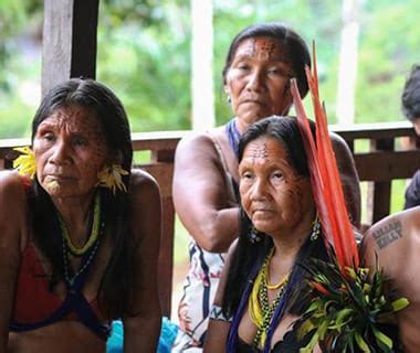 Crian As Yanomami Desnutri O Grave Apresentam Melhora