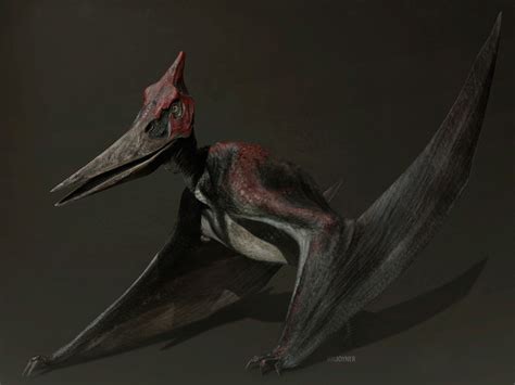 Ian Joyner Jurassic World Pteranodon