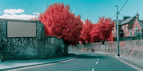 Looking Glass: Exposing the Overlooked Power of Nature through Infrared ...
