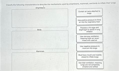 Solved Classify The Following Characteristics To Describe Chegg