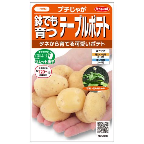 【サカタのタネ公式】 ジャガイモ プチじゃが 野菜 種 約5粒 小袋 春まき プランター 鉢 珍しい家庭菜園 ベランダ栽培 収穫園芸 馬鈴薯