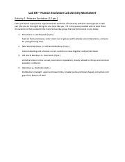 Humanevolutionlabworksheet Pdf Lab Human Evolution Lab Activity