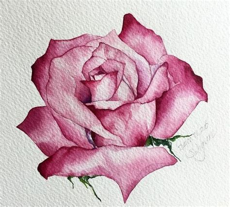 Pin De Emel Etin Dan Man En Suluboya Pinturas Florales Rosas