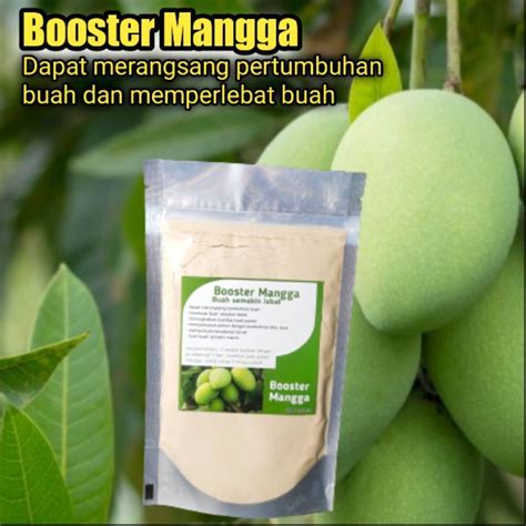 Jual Booster Mangga Perangsang Buah Mangga Pelebat Buah Pupuk Buah